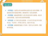 【大象版】五下科学  1.4 光线与视觉（课件+教案）