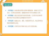 【大象版】五下科学  4.2 动物的食物（课件+教案）