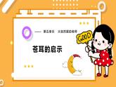 【大象版】五下科学  5.1 苍耳的启示（课件+教案）