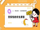 【大象版】五下科学  5.3 空投包的仿生原型（课件+教案）