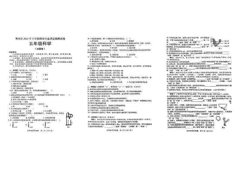 湖南省郴州市2024年下学期期末学业质量抽测试五年级科学试卷第1页