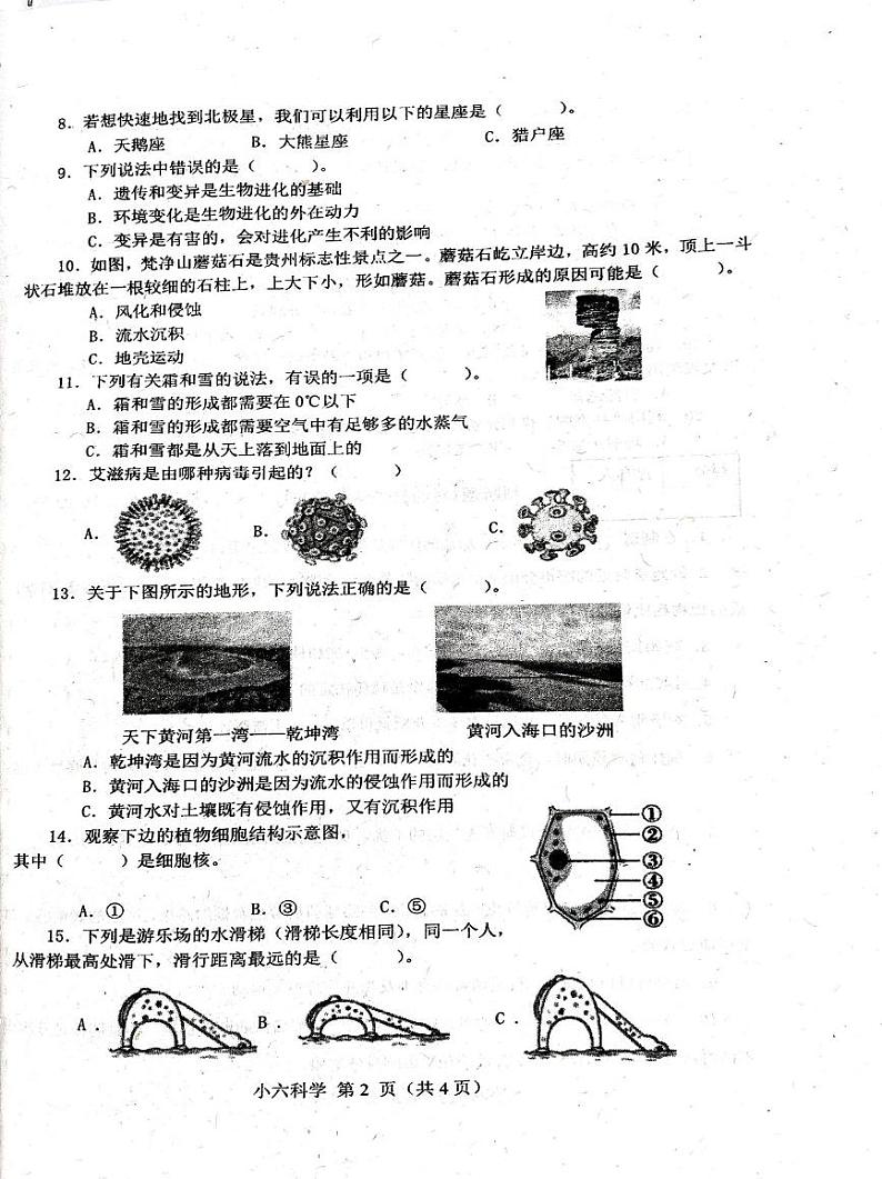 2024秋六上科学期末 2024六年级秋科学期末第2页