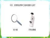苏教版（2017）科学五下 1.1《搭建生命体的“积木”》课件+教案+分层练习+素材