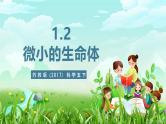 苏教版（2017）科学五下 1.2《微小的生命体》课件+教案+分层练习+素材