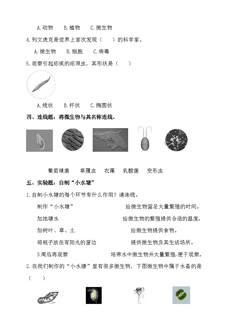 苏教版（2017）科学五下 1.2《微小的生命体》分层练习（含答案）第2页