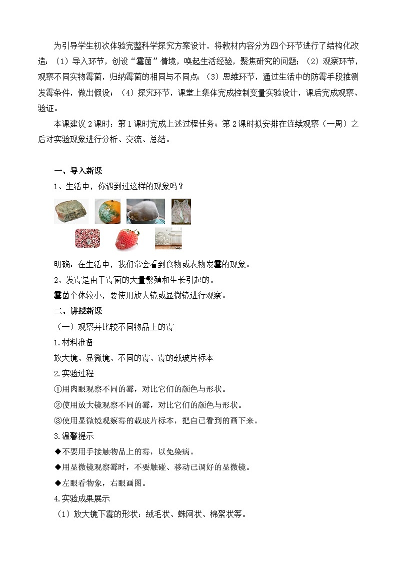 苏教版（2017）科学五下 1.3《发霉与防霉》教案第3页