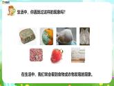 苏教版（2017）科学五下 1.3《发霉与防霉》课件+教案+分层练习+素材
