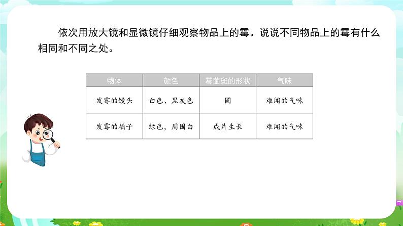 苏教版（2017）科学五下 1.3《发霉与防霉》课件第4页