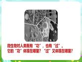 苏教版（2017）科学五下 1.4《微生物的“功”与“过”》课件+教案+分层练习+素材