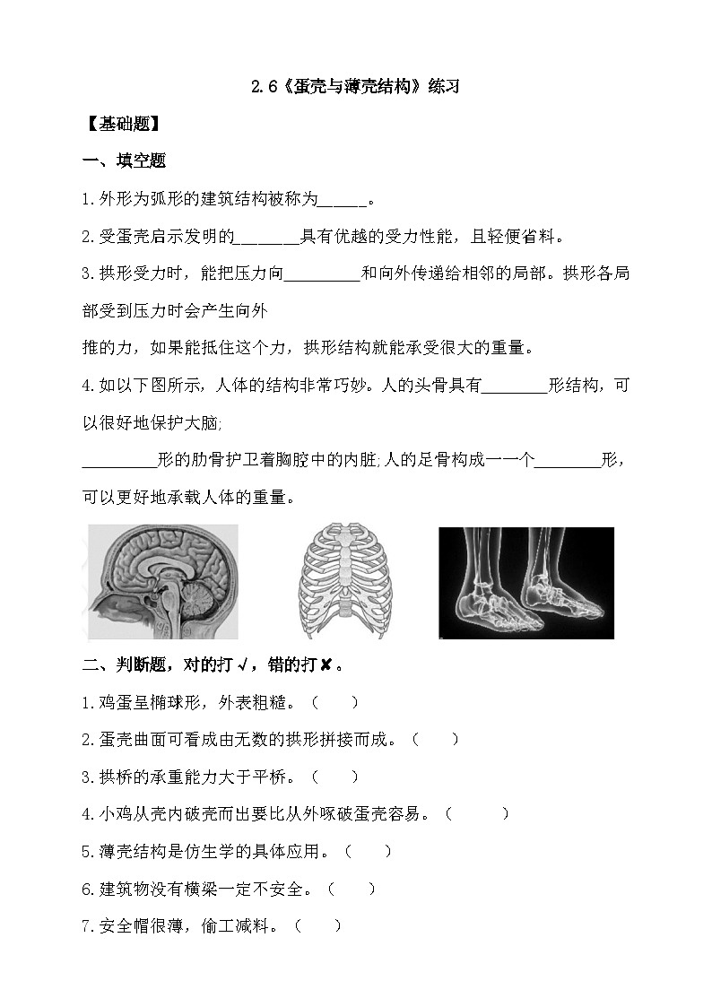 苏教版（2017）科学五下 2.6《蛋壳与薄壳结构》分层练习（含答案）第1页