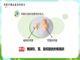 蘇教版（2017）科學(xué)五下 2.6《蛋殼與薄殼結(jié)構(gòu)》課件+教案+分層練習(xí)