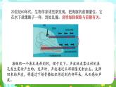 蘇教版（2017）科學(xué)五下 2.7《海豚與聲吶》課件+教案+分層練習(xí)+素材