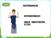 蘇教版（2017）科學(xué)五下 2.8《我們來(lái)仿生》課件+教案+分層練習(xí)+素材