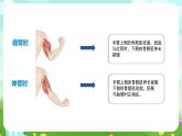 蘇教版（2017）科學(xué)五下 2.8《我們來(lái)仿生》課件+教案+分層練習(xí)+素材