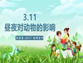 苏教版（2017）科学五下 3.11《昼夜对动物的影响》课件+教案+分层练习+素材