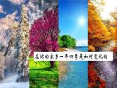 苏教版（2017）科学五下 3.12《四季循环》课件+教案+分层练习+素材