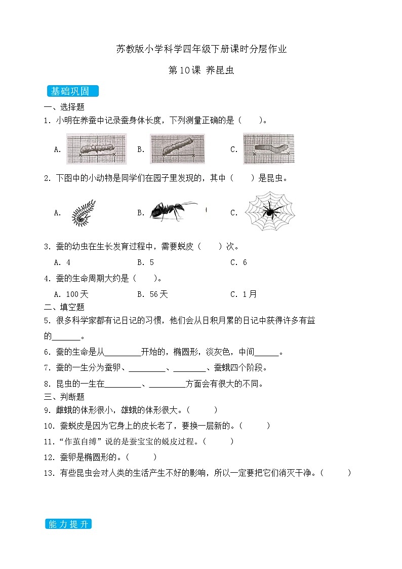 苏教版（2017）科学四下 3.2《养昆虫》分层练习第1页