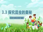 苏教版（2017）科学四下 3.11《探究昆虫的秘密》课件+教案+分层练习
