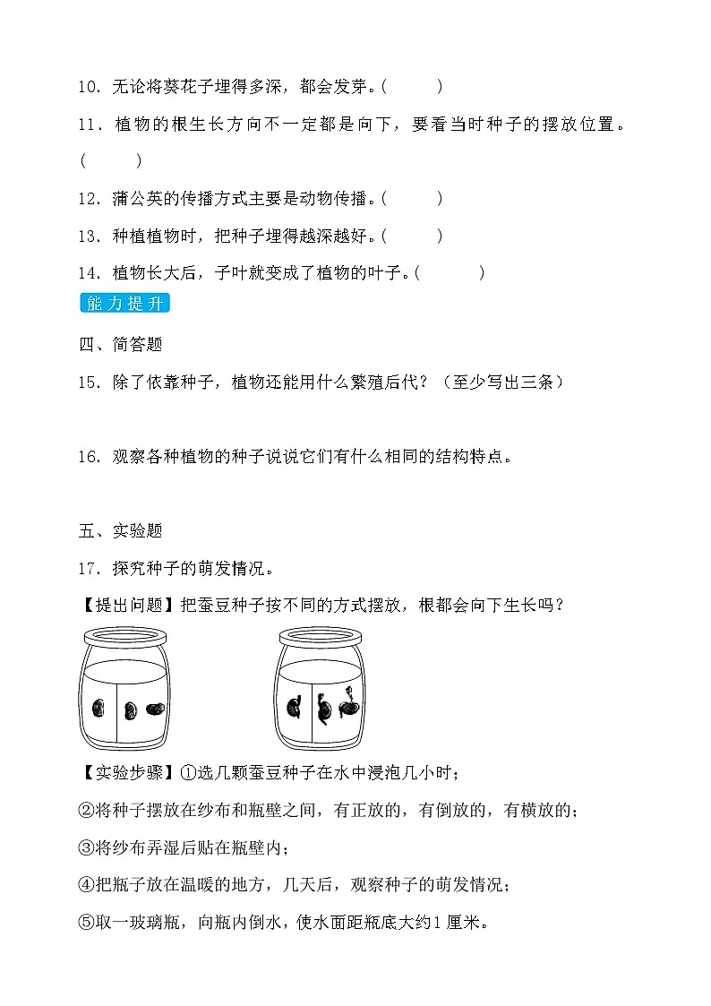 苏教版（2017）科学四下 4.1《用种子繁殖》分层练习第2页