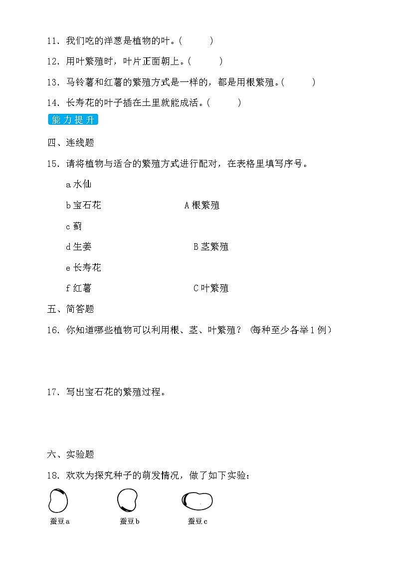 苏教版（2017）科学四下 4.2《用根、茎、叶繁殖》分层练习第2页