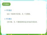苏教版（2017）科学四下 4.13《用根、茎、叶繁殖》课件+教案+分层练习