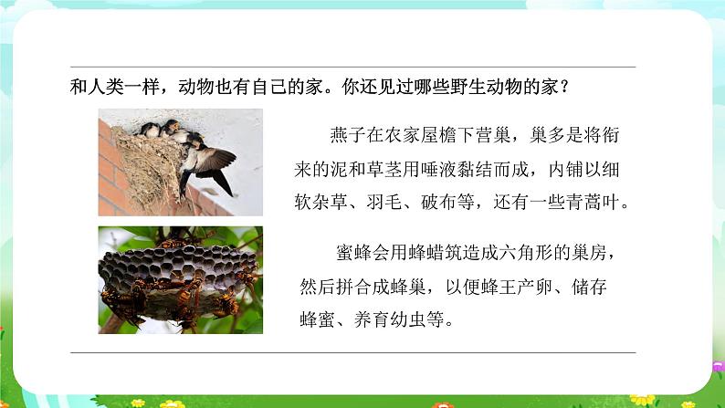 苏教版（2017）科学四下 5.2《动物的庇护所》课件第8页