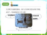 大象版（2017）科学五下 4.2《动物的食物》课件+教案