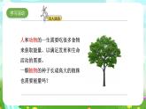 大象版（2017）科学五下 4.3《植物的“食物”》课件+教案