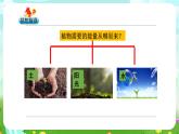 大象版（2017）科学五下 4.3《植物的“食物”》课件+教案