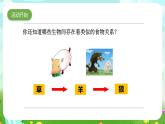 大象版（2017）科学五下 4.4《食物链》课件+教案