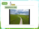 大象版（2017）科學(xué)五下 4.5《生態(tài)平衡》課件+教案