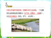 大象版（2017）科學(xué)五下 4.5《生態(tài)平衡》課件+教案
