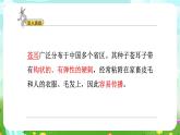 大象版（2017）科学五下 5.1《苍耳的启示》课件+教案