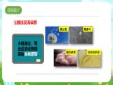 大象版（2017）科學(xué)五下 5.5《我們的空投包》課件+教案