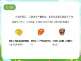 大象版（2017）科学六下 准备单元《投实心球的秘诀》课件