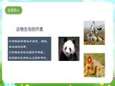 大象版（2017）科学六下 1.1《动物的家园》课件+教案