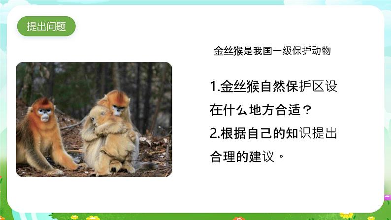 大象版（2017）科学六下 1.2《金丝猴的家》课件第2页