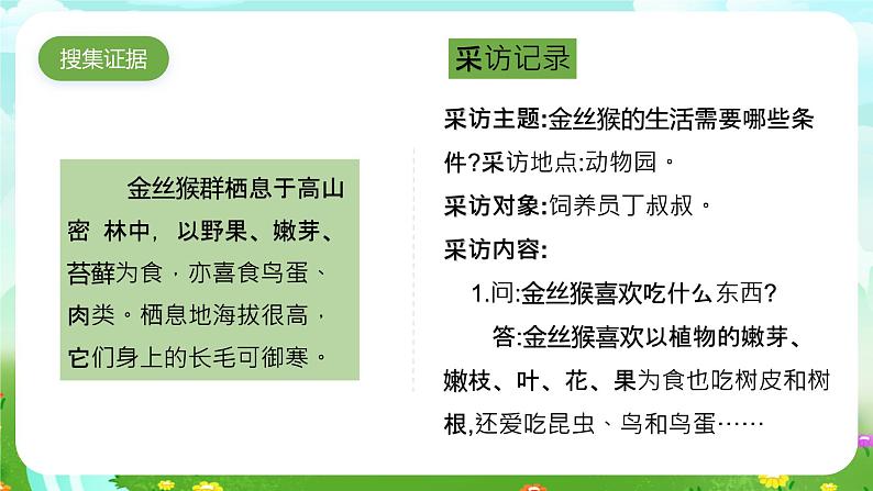 大象版（2017）科学六下 1.2《金丝猴的家》课件第4页