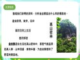 大象版（2017）科学六下 1.2《金丝猴的家》课件+教案