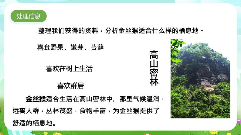 大象版（2017）科学六下 1.2《金丝猴的家》课件第5页