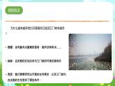 大象版（2017）科学六下 1.3《环境变化与动物行为》课件+教案