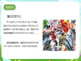 大象版（2017）科学六下 2.2《海洋资源》课件+教案
