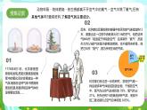 大象版（2017）科学六下 3.4《空气的成分》课件+教案