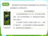 大象版（2017）科学六下 4.3《人类发展与生态危机》课件+教案