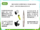 大象版（2017）科学六下 5.2《设计》课件+教案