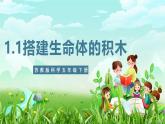 苏教版（2017）科学五下 1.1《搭建生命体的积木》课件