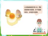 苏教版（2017）科学五下 1.1《搭建生命体的积木》课件
