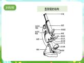 苏教版（2017）科学五下 1.2《微小的生命体》课件