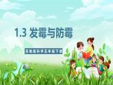 苏教版（2017）科学五下 1.3《发霉与防霉》课件