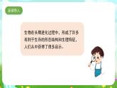 苏教版（2017）科学五下 2.5《生物的启示》课件